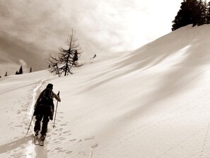 Skidåkning och snöaktiviteter
