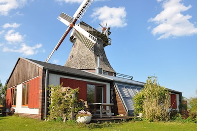Cómoda casa de vacaciones, ubicación exclusiva en el molino de viento, cerca de Warnemünde