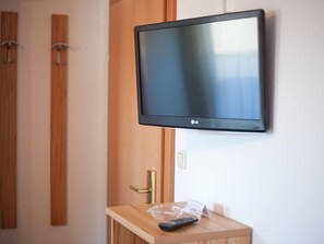 Television