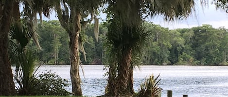 River flows on two sides of the property.  Ocala National Park is ur backyar