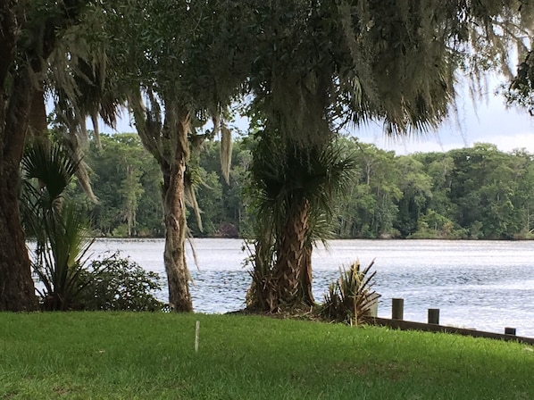 River flows on two sides of the property.  Ocala National Park is ur backyar