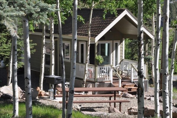 Cabin is nestled in Aspen on 2 acres on the Alpine Loop. Lots of toy parking.