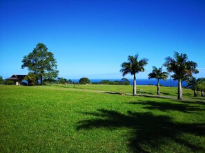 Terrain de l’hébergement 