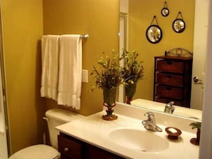 Large Guest Bathroom w\Stand Up Shower