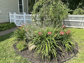 Planting in front of parking