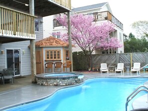 Pool & cabana bar in Spring