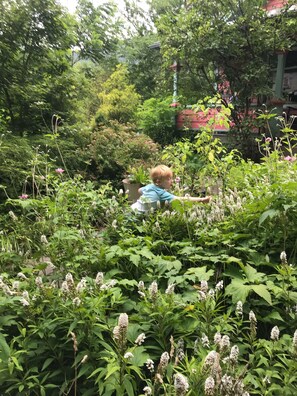 If you like manicured yards, this is not the yard for you. Bees love it. 