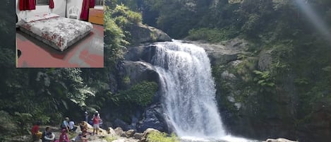 內洞國家森林遊樂區
Neidong Forest Recreation Area
觀賞內洞瀑布  to see Neidong Waterfall.