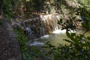 Parco della struttura