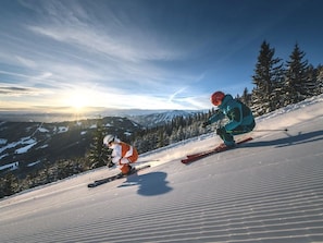 Sne- og skisport