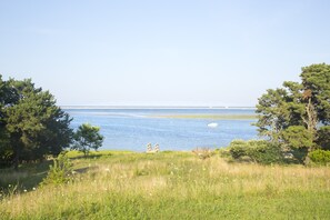 Ranta