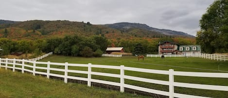 Terrain de l’hébergement 