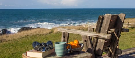 If the whales are out there, this chair on the deck is perfect to whale watch.