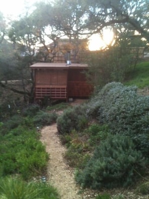 Trail from cabin to sauna