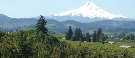 Mt. Hood from our house.