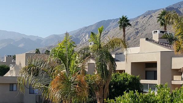 Mountain View from condo