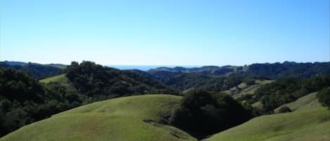 Beautiful Ocean View and Rolling Hills From the Front Deck