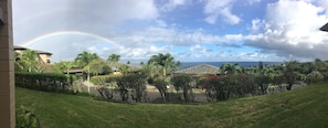 View from Lanai