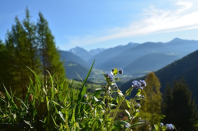 Viviendo en el Oberpichlhof - Geiselsberg / Olang Kronplatz