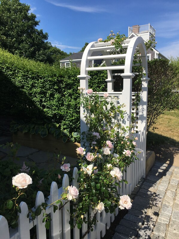 Rose arbor by an off-street parking space for our cottage guests' exclusive use.