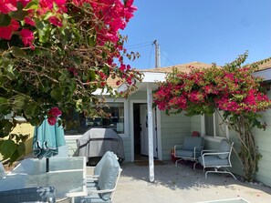 Exterior with new siding and all new outdoor furniture.