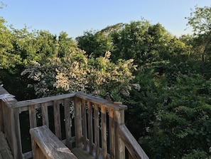 view from deck