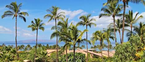 Spectacular view from our private lanai!