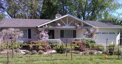 Picture of villa