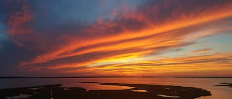 Gorgeous sunsets while you swim in the roof top pool.