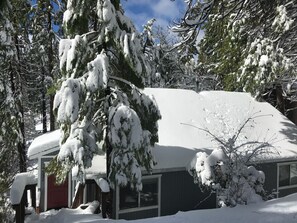 So much snow and so little time to play.