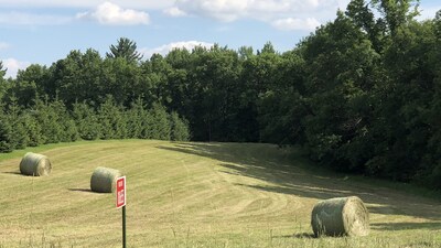 Tiny Home on Snowshoe Creek & Little Wood Lake (RV parking with power)