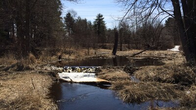 Tiny Home on Snowshoe Creek & Little Wood Lake (RV parking with power)