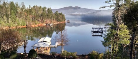 Early morning fog, view from back deck.