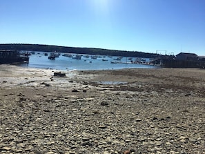 Owls Head harbor