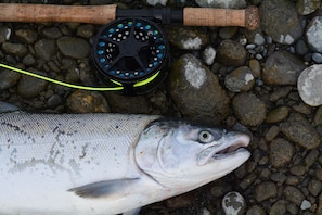 Caught in front of the cabin - turn the grill on!