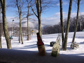 View from deck during ski season!