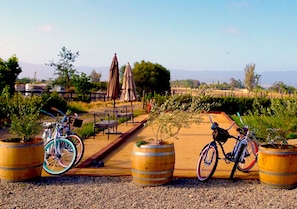 A private bocce ball and 4 cbikes-- what fun!