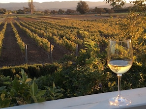Wine with a view = Vacation