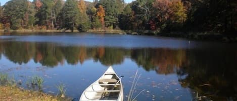 Beautiful stocked 4 acre pond behind Pine Grove Cottage.