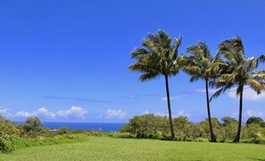 View from the House