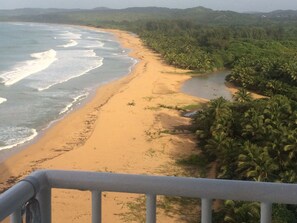 Balcony view to the right...lush green undeveloped conservation land