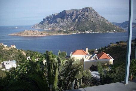 VIEW FROM THE VERANDA