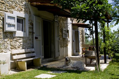 Casa idílica en la frontera toscana de Umbría con piscina privada en alquiler, capacidad para 2-4