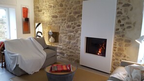 Salon avec cheminée/insert