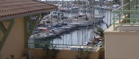 Vue de la terrasse