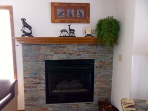 Gas Fireplace in the Living Room