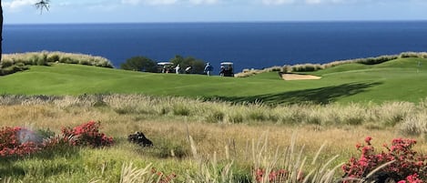 Layers of beautiful grounds, golf course, and ocean views from the lanai