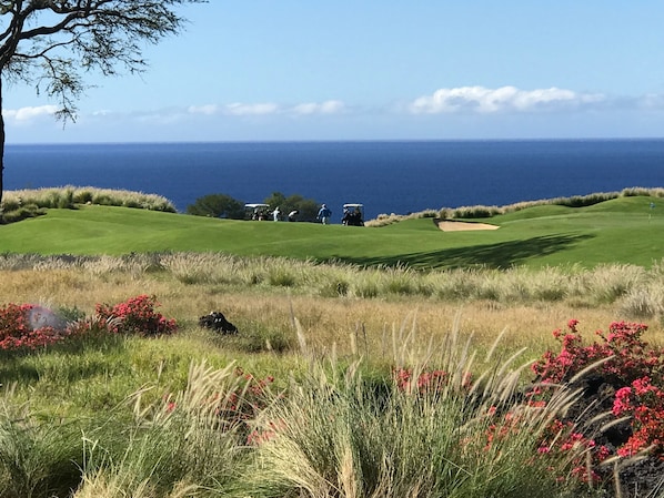 Layers of beautiful grounds, golf course, and ocean views from the lanai