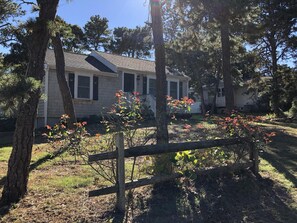 Peaceful, woodsy neighborhood near the beach