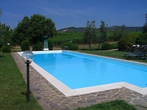 The pool